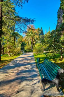 Sochi. Milli Park Botanik Bahçesi. Sonbahar