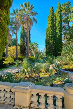 Sochi. Milli Park Botanik Bahçesi. Sonbahar
