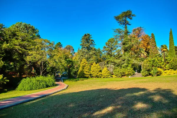 Sochi Parque Nacional Arboretum Otoño — Foto de Stock