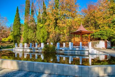 Sochi. Milli Park Botanik Bahçesi. Sonbahar