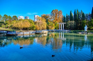 Sochi. Milli Park Botanik Bahçesi. Sonbahar