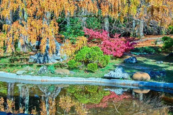 Sochi Arboreto Parque Nacional Outono — Fotografia de Stock