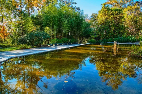 Sochi Arboreto Parque Nacional Outono — Fotografia de Stock