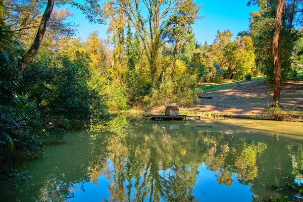 Soči Národní Park Arboretum Podzim — Stock fotografie
