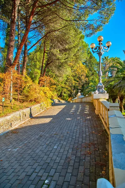 Σότσι Εθνικό Πάρκο Δενδρολογικός Κήπος Φθινόπωρο — Φωτογραφία Αρχείου