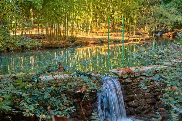 Sochi Arboreto Parque Nacional Outono — Fotografia de Stock