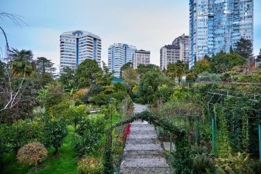 Sochi. Bahçe-Müzesi 