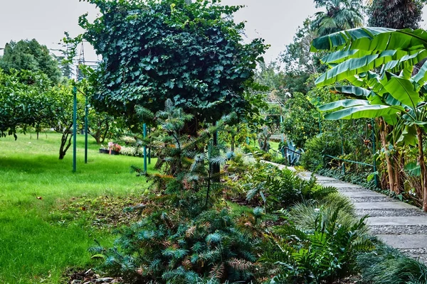 庭園美術館 友情の木 — ストック写真