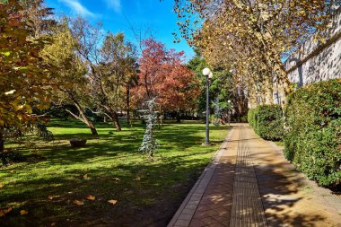 Sochi. Sonbahar Park ve bahçeler
