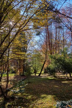 Sochi. Sonbahar Park ve bahçeler