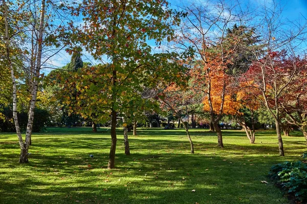 秋の公園や庭園 — ストック写真