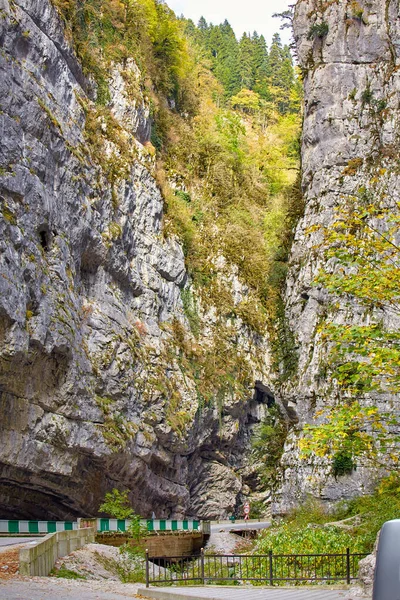 Φθινοπωρινά Τοπία Της Ορεινής Αμπχαζίας — Φωτογραφία Αρχείου