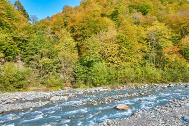 Soçi. Krasnaya Polyana. Spa mı? Altyapı. Peyzaj
