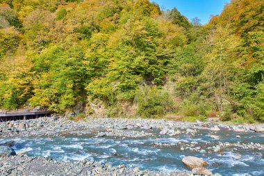 Soçi. Krasnaya Polyana. Spa mı? Altyapı. Peyzaj