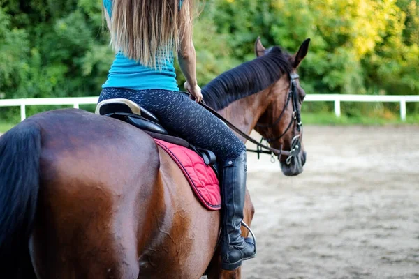 Молодая Красивая Брюнетка Верхом Лошади Вид Сзади — стоковое фото