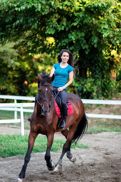 Молодая Красивая Брюнетка Скачущая Лошади — стоковое фото