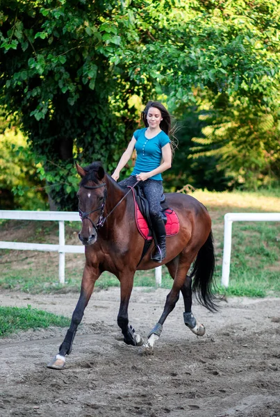 Молодая Красивая Брюнетка Скачущая Лошади — стоковое фото