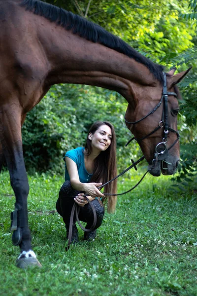 Красивая Юная Брюнетка Присматривает Своей Пасущейся Лошадью — стоковое фото