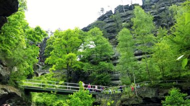 İnsanlar altında ve bir köprü bir ormanda - bir kaya içinde belgili tanımlık geçmiş boyunca yürüyüş