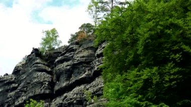 Bir rock - ön planda kalın ağaç taç