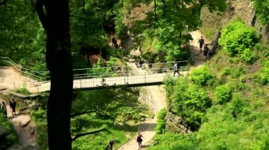 Prag, Çek Cumhuriyeti - 21 Mayıs 2016: Bir kişi yürüyor aşağı bir köprü bir ormanda, bir ağaç ön planda - Üstten Görünüm