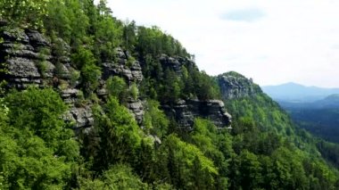 Ağaçlar ve onları altında bir orman kaplı kaya