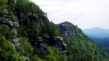 Ağaçlar ve onları altında bir orman kaplı kaya
