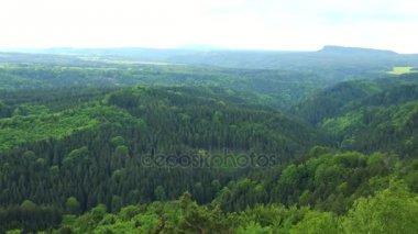 Bir büyük ve kalın orman alanı - Üstten Görünüm