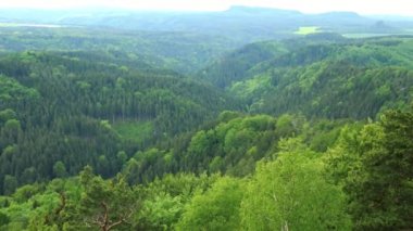 Bir kalın tepelik orman alanı - Üstten Görünüm