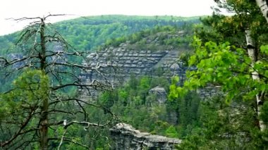 Bir uçurumun bir ormandaki ağaçlar ön planda - Üstten Görünüm
