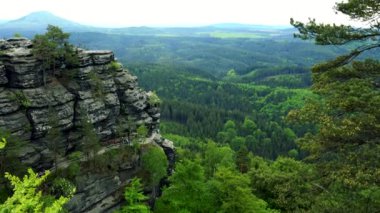 Bir rock bir ormandaki ağaç bacaklarda ön planda - Üstten Görünüm