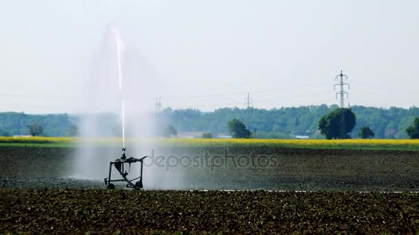 Field irrigation sprays water on the soil — Stock Video