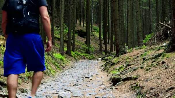 프라하, 체코 공화국-5 월 21 일, 2016: 숲으로 플래그가 지정 된 통로 아래로 몇 산책 — 비디오