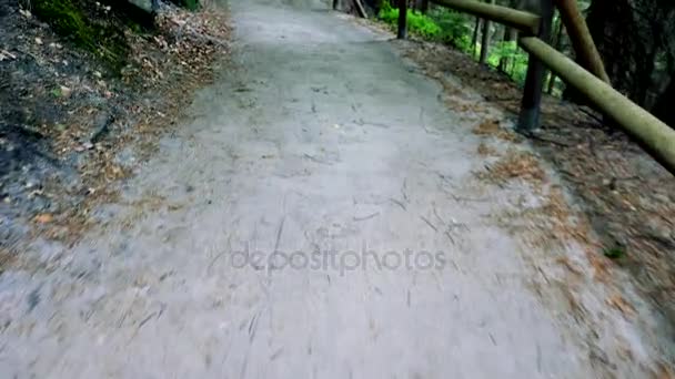 Die Kamera fährt an einem Geländer eines Hügels im Wald entlang — Stockvideo