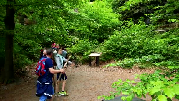 PRAGUE, CZECH REPUBLIC - MAY 21, 2016: Hikers in a forest climb up stairs — Stock Video