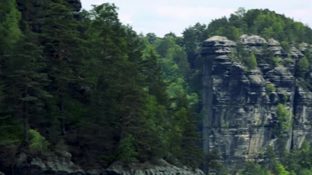 Круті скелі в лісі — стокове відео