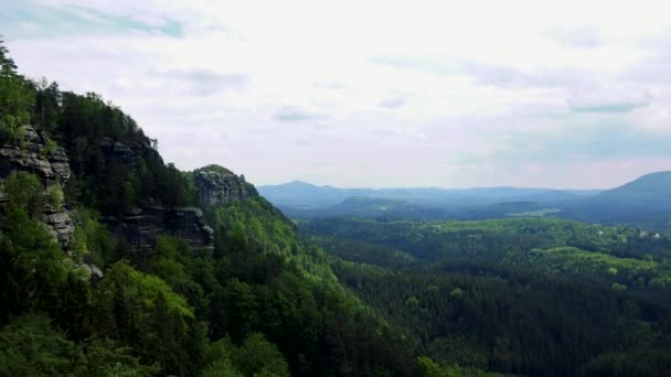 Скелі, покриті деревами, величезна лісова територія під ними вид зверху — стокове відео