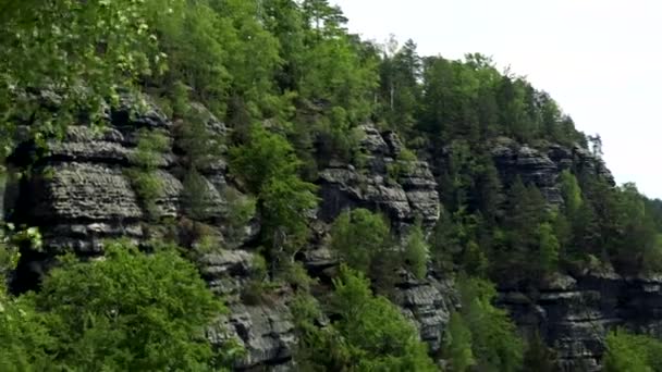 Rocas cubiertas de árboles - un bosque debajo — Vídeo de stock
