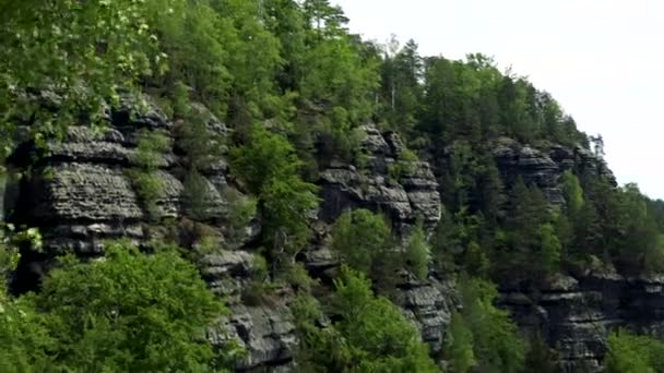 Batu karang ditutupi dengan pohon-pohon - hutan di bawah — Stok Video