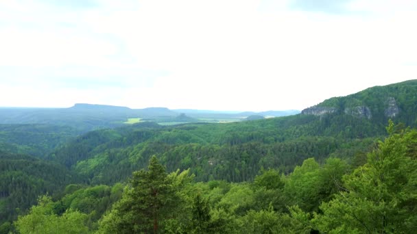 Een uitgestrekte bosrijke omgeving, een rots aan de rechterkant - bovenaanzicht — Stockvideo