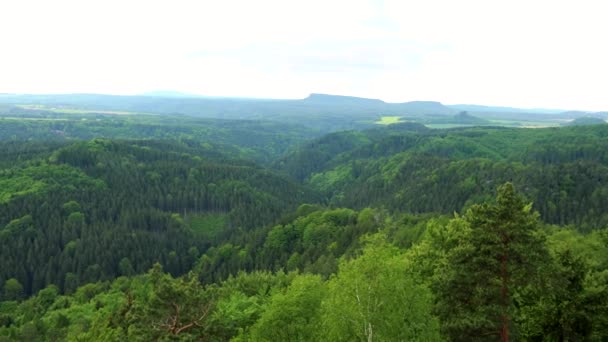 Egy hatalmas, vastag erdő területén és a világos ég - felülnézet — Stock videók