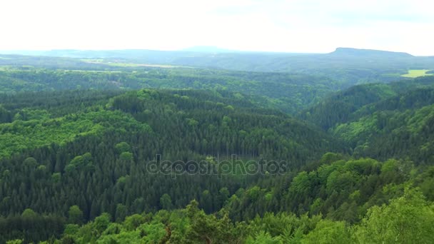 Огромная и густая площадь леса - вид сверху — стоковое видео