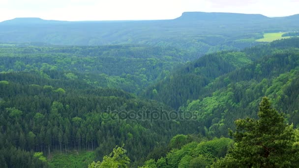 广大茂密的森林地区-顶视图 — 图库视频影像