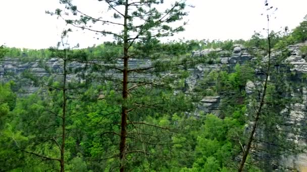 Rocas cubiertas de árboles — Vídeo de stock