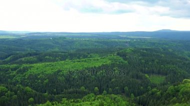 Kalın, büyük orman alanı, parlak gökyüzü içinde belgili tanımlık geçmiş - Üstten Görünüm