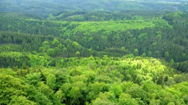 Kalın, büyük orman alanı - Üstten Görünüm