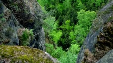 Bir orman arasında yüksek kayalar - Üstten Görünüm