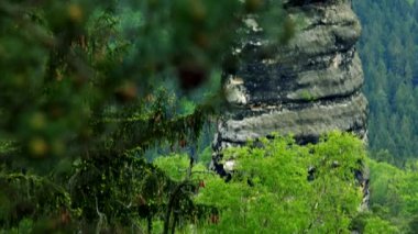Dar şeklindeki taş, ağaç kron ön planda üst