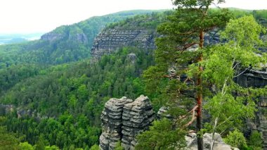 Kayalar ve kayalıklardan büyük bir orman - Üstten Görünüm