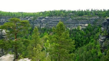 Uzun bir uçurumun bir orman, ağaç ve kayaların ön planda - Üstten Görünüm